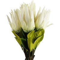 Leaf 6 X 65cm White Protea Sugarbush Artificial Flower Stems