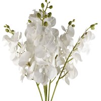 Leaf 100cm Artificial Phalaenopsis Orchid Stems - White - Pack Of 6