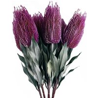 Leaf Artificial Banksia Menziesii Flower Stems - Pink, 75cm (pack Of 6)