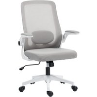 Homcom Ergonomic Mesh Office Chair With Adjustable Lumbar Support & Tilt Function