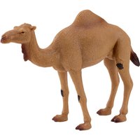 Mojofun Realistic Camel Toy – Desert Animal Model