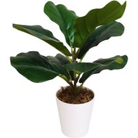 Leaf 38cm Potted Artificial Fiddle Fig Plant