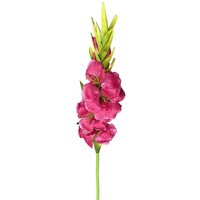 Leaf Artificial Pink Gladioli Stems - Set Of 6, 115cm Tall