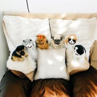 Msl 18cm Sitting Puppies - 6 Assorted Colours