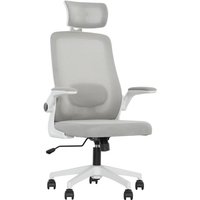 Homcom Ergonomic Mesh Office Chair With Headrest & Lumbar Support - Grey