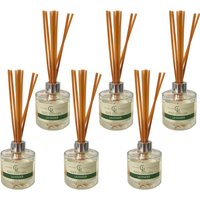 Green Laurels Oil-based Reed Diffuser 100ml - Lavender, Pack Of 6