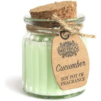 Cucumber Soy Pot Fragrance Candles - 20 Hour Burn Time