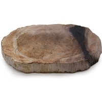 Petrified Wood Soap Dish - Dark Brown/black, Handcrafted, Polished Top, Raw Edges