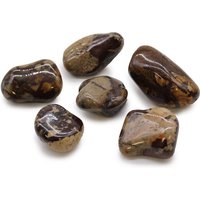 Large African Tumble Stones - Jasper Nguni