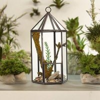 Glass Lantern Terrarium - Geometric Plant Display - 20cm X 9.5cm X 9.5cm