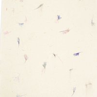 A4 - Lokta Craft Paper (20 Sheet Pack) - Cornflower