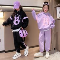 Spring Autumn Sports Suit 2024 Style Middle Large Loose Hooded Sweater Clothing Two Piece Set