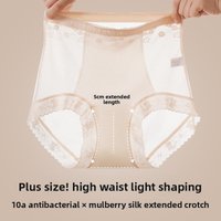 Transparent Lace High waisted Triangle Panties Light Shaping Pure Desire Antibacterial Mulberry Silk Extended