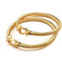Jewelry & Accessories Horseshoe Buckle Titanium Steel Bracelet Cable Twisted Wire Bracelet Fashion Jewelry Boutique Women’s Jewelry