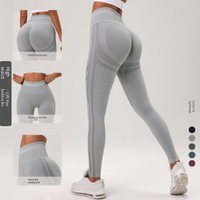 Women’s Clothing Seamless Pleated Peach Tight Hip Yoga Suit Sports Running Fitness Yoga Clothing