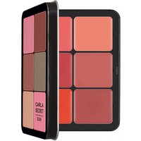 12-color Iron Box Plate Matte Long-lasting Concealer Pearlescent Brightened Multi-color Blush Cream