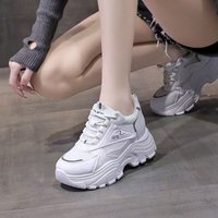 Small Shoes Female Thick Soles All Match Spring Autumn Dad Female Breathable Leisure Sports Shoes