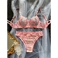 clothing French flower embroidery perspective sexy girly colored interesting underwear