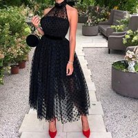 Women's Clothing New autumn black mesh polka dot sleeveless waist long skirt