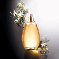 Perfume Ladies, For True Lasting 100Ml Fresh Fragrance, 72 Hours, Small Number Of Students, High-End Room, Femininity