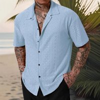 Spring Summer Short Sleeved Versatile Shirt Hollow Jacquard Casual Shirt