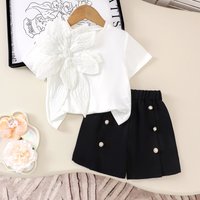  Summer Outfit Set – Plain Short Sleeve Top + Shorts 