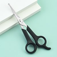Stainless Steel Household Hair Creative Salon Bangs Thinning Straight Scissors Hairdressing Beauty Scissors Tools Wholesale
