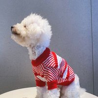 Pet Trendy Autumn Winter Thick Knitted Clothes Dog Cat Cold-Proof Warm Plush Sweater In Stock Wholesale