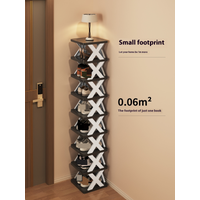 Home Entrance layer Narrow Simple Rack Entryway Storage Dormitory Shoe Cabinet 2024 Model