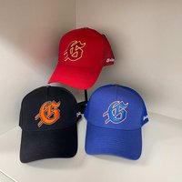God&Speed Skull Embroidered Baseball Cap Curved Brim Outdoor Duckbill Cap Trendy Cross Border European American Brand