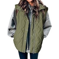 2025 Autumn And Winter New Fashion Casual Solid Color Sleeveless Cotton Vest Zipper Button