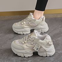 Leather Daddy Shoes Female Ins Tide 2024 Spring Summer Increase Small Muffin Thick Bottom Sports Leisure