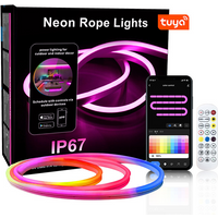 Home Furniture Tuya Wifi Silicone Flexible Fantasy Neon Light With Bluetooth Voice Control Running Water Atmosphere Light 10 Meters