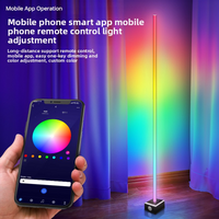 RGB LED Corner Floor Lamp With Music Sync