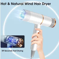 Professional Negative Ionic Hair Dryer Cold Wind Salon Styler Blow Drier EU