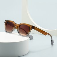 Prism Cat Eye Modern Legs Shape Jumping Cheetahs Decorated Sunglasses 6060