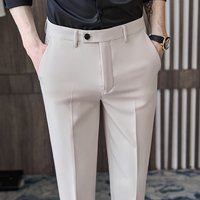 Slim Fit Cropped Trousers High End Summer Style Thin Draping Casual Suit Spring Autumn