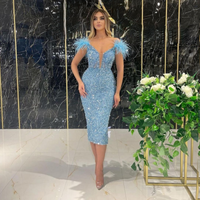 Clothing Deep V Sequin Sexy Evening Dress Feather Sequin Sleeveless Dress Long Dress