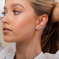 S925 Ear Needle Personalized Leaf Fish Bone Diamond Earrings Female 14K Simple Jewelry