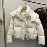 2025 Small Oversize Loose Niche Design Cotton Coat Puffer Jacket Trendy