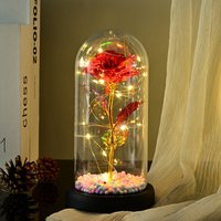 Valentines Day gift glass cover light foil bouquet girlfriend birthday gift eternal flower glass cover