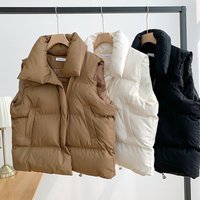 Women's Clothing autumn and winter Korean style small fragrant style stand collar new sleeveless cotton vest outer wear vest jacket trendy