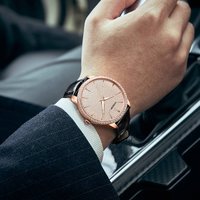 ROERDUM Cosmic Series Apollo Belt RA6960 Luxury Style Mechanical Watch Dial Full Diamond Fashion Watch