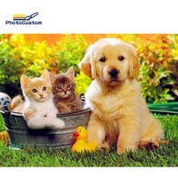 PhotoCustom 5d Diamond Embroidery Dog Animal Diamond Art Painting Cute Kitten Mosaic Handmade Gift Decor Home