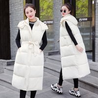 Fashion Loose Thick Sleeveless Jacket