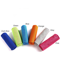 Cooling Microfiber Gym Towel 30x100cm - Quick Dry & Sweat Absorbent For Workout, Sports & Fitness (Plain Color, Custom Logo Available)