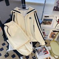 sports comfortable casual suit spring autumn loose design fat thin fitness running two piece set