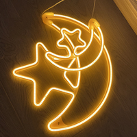 LED Neon Star & Moon Window Light Flexible Plug Decoration Christmas Home & Café 24V 220V