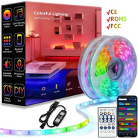 5V Low Voltage 5050 RGB LED Strip WS2812B USB Light With Bluetooth & Remote Control For Home Decor & Party Lightingโ