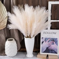 Artificial flower 4 fork Pampas reed grass INS style artificial flower home decoration wedding